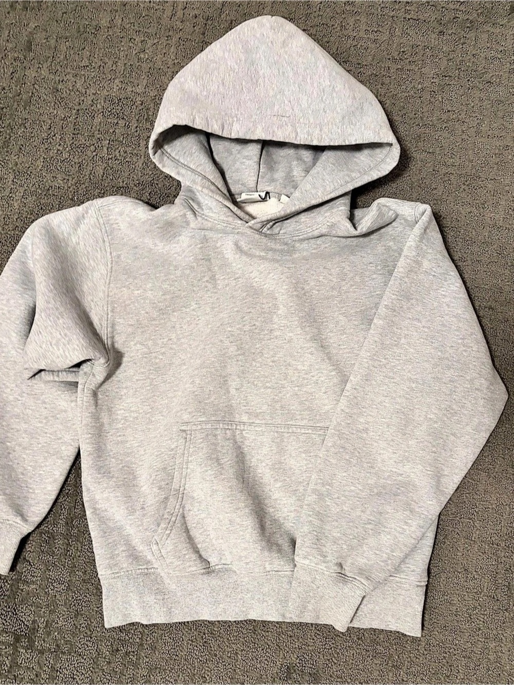 Aritzia Cozy Sweatfleece Perfect Hoodie Gray Size Small